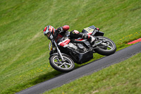 cadwell-no-limits-trackday;cadwell-park;cadwell-park-photographs;cadwell-trackday-photographs;enduro-digital-images;event-digital-images;eventdigitalimages;no-limits-trackdays;peter-wileman-photography;racing-digital-images;trackday-digital-images;trackday-photos